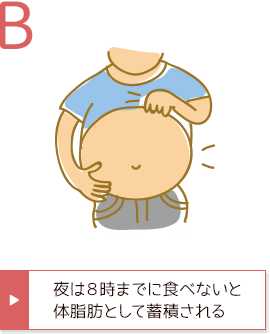 B 夜は8時までに食べないと体脂肪として蓄積される