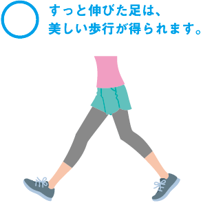 O すっと伸びた足は、美しい歩行が得られます。