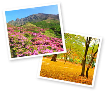 四季折々の豊かな自然