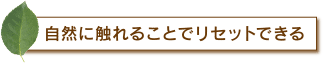 自然に触れることでリセットできる