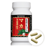 マカ 冬虫夏草配合